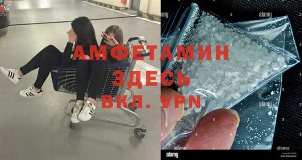 молекула духа Киреевск