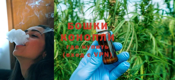 молекула духа Киреевск