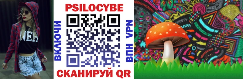 Купить где  Салехард  Галлюциногенные грибы мухоморы 